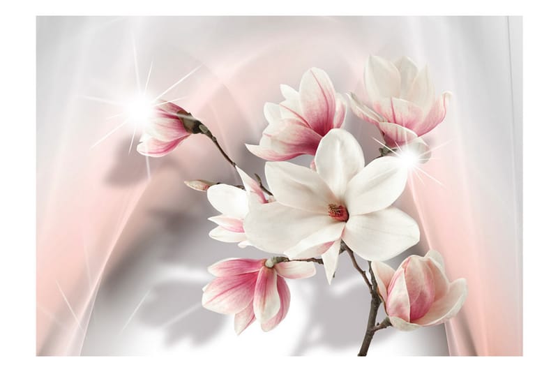 Fototapet White Magnolias 250x175 - Artgeist sp. z o. o. - Innredning - Veggdekorasjon - Tapeter - Fototapeter