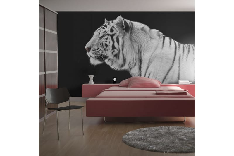 Fototapet White Tiger 250x193 - Artgeist sp. z o. o. - Innredning - Veggdekorasjon - Tapeter - Fototapeter