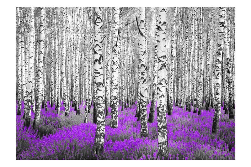 Fototapet Purple Asylum 250x175 - Artgeist sp. z o. o. - Innredning - Veggdekorasjon - Tapeter - Fototapeter