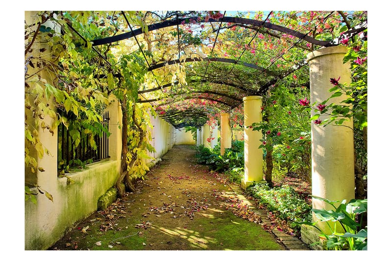 Fototapet Pergola 100x70 - Artgeist sp. z o. o. - Innredning - Veggdekorasjon - Tapeter - Fototapeter