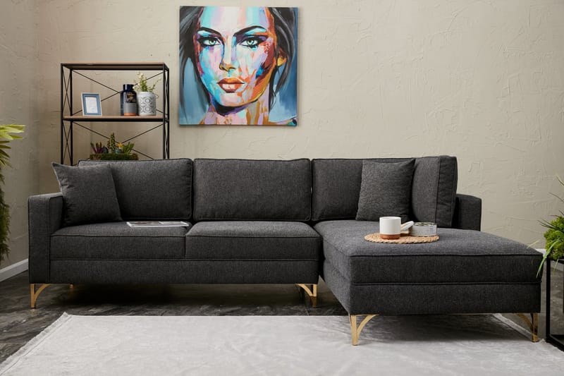 Retzow Sofa med Divan 4-seter - Antrasitt - Møbler - Sofaer - Sofa med sjeselong