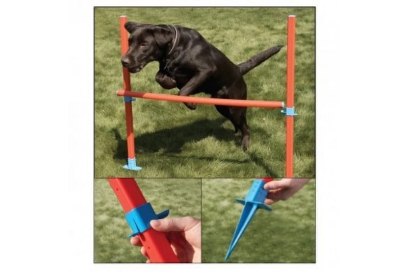 Agility-Hinder med Bæreveske Oransje/Turkis - Sport & fritid - Til dyrene - For hund - Hundetrening & agility